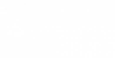 Vive Port